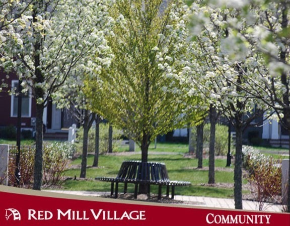 36 Owen Road, Unit 36 Norton, MA 02766 - Photo 40 of 40 a view of a park with large trees