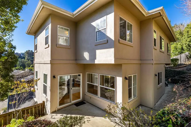 a view of a yard with plants and large trees