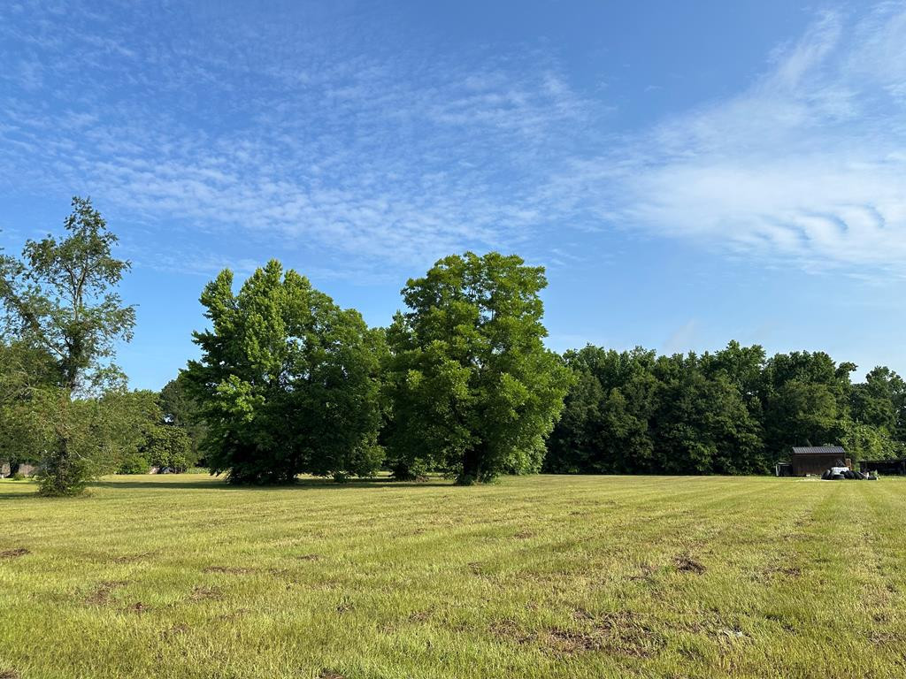 Tbd Tbd Catamount Road, Unit LOT D Holly Hill, SC 29059 - Photo 1 of 7 Gallery Image 1