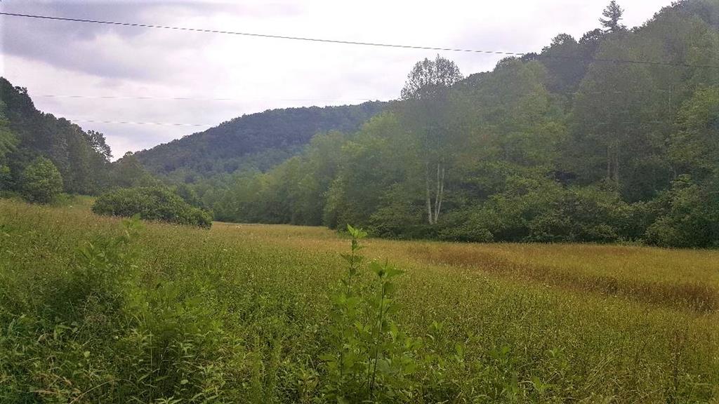 Tbd Lone Ivy Road Stuart, VA 24171 - Photo 1 of 1 Gallery Image 1