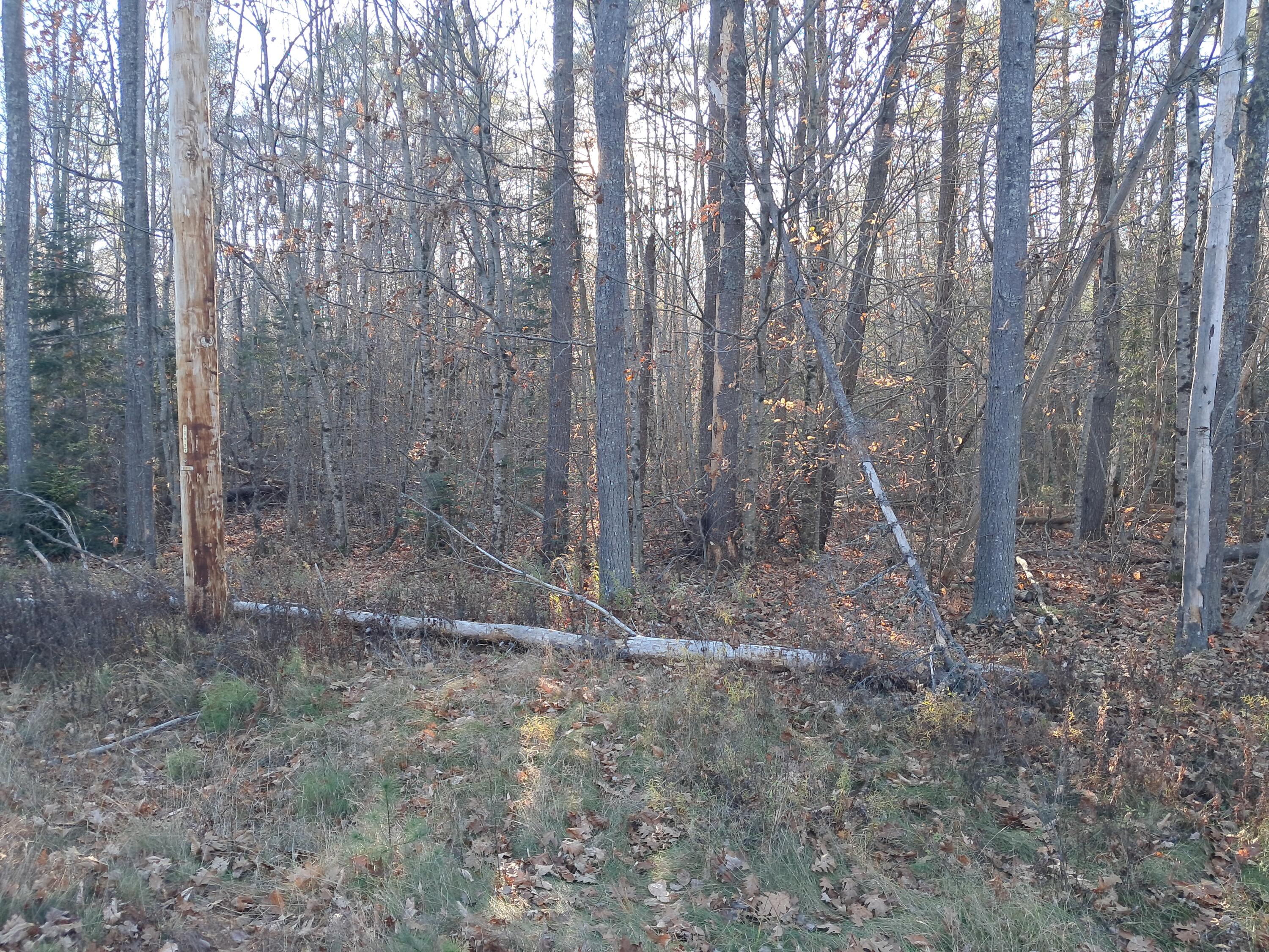 0 Rt 2 Road Passadumkeag, ME 04475 - Photo 3 of 4 20241103_144653