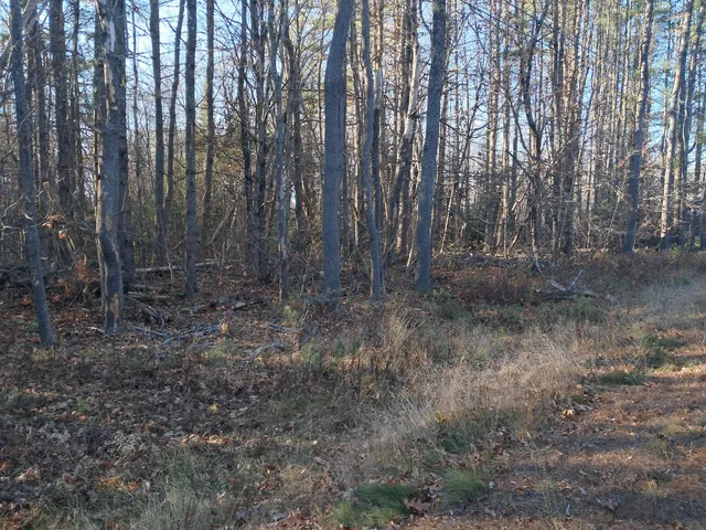 $60,000 | 0 Rt 2 Road, Passadumkeag, ME 04475