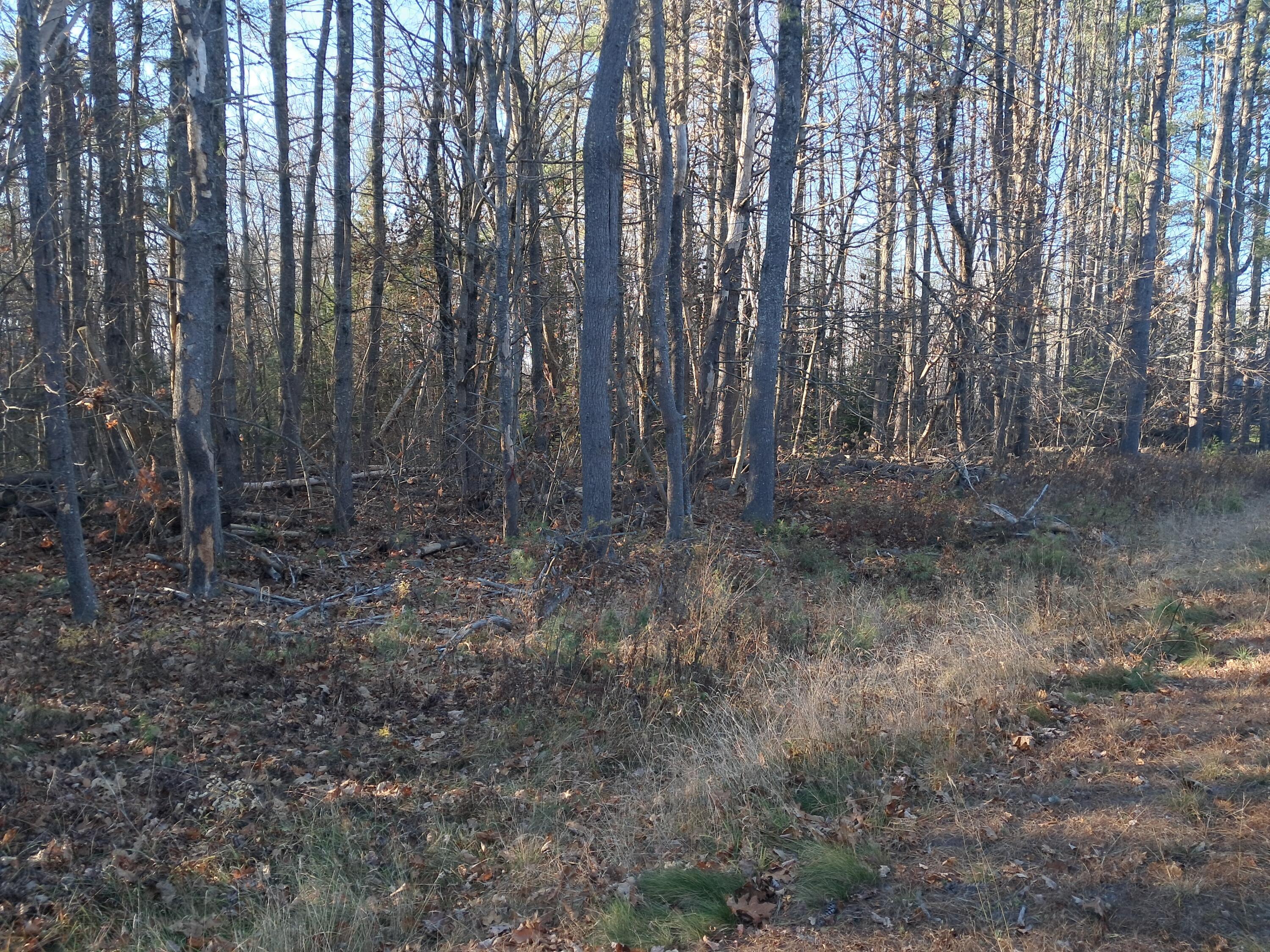 0 Rt 2 Road Passadumkeag, ME 04475 - Photo 4 of 4 20241103_144658