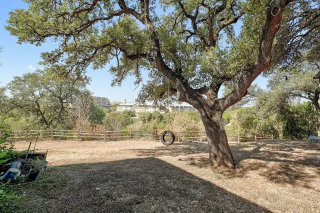 a view of yard with trees