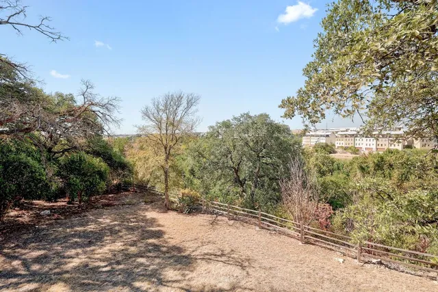 a view of a yard with a tree