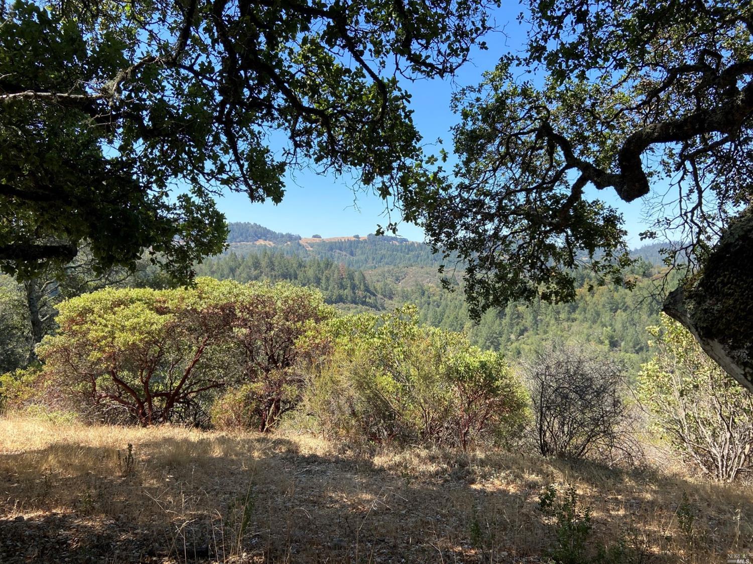 0 Petrified Forest Road Calistoga, CA 94515 - Photo 1 of 1 Gallery Image 1