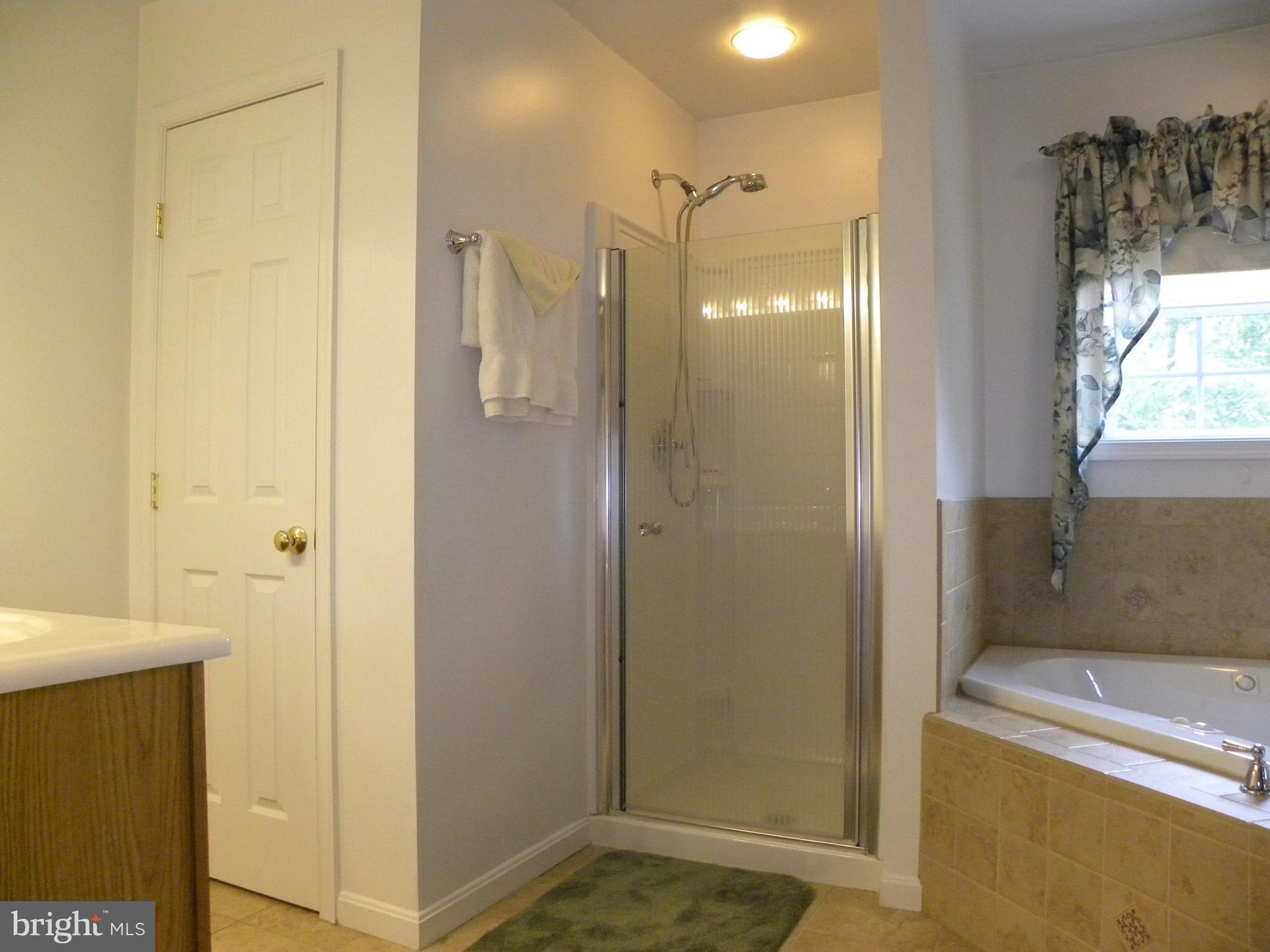 7415 Bull Run Road Manassas, VA 20111 - Photo 30 of 30 a bathroom with a shower and a sink