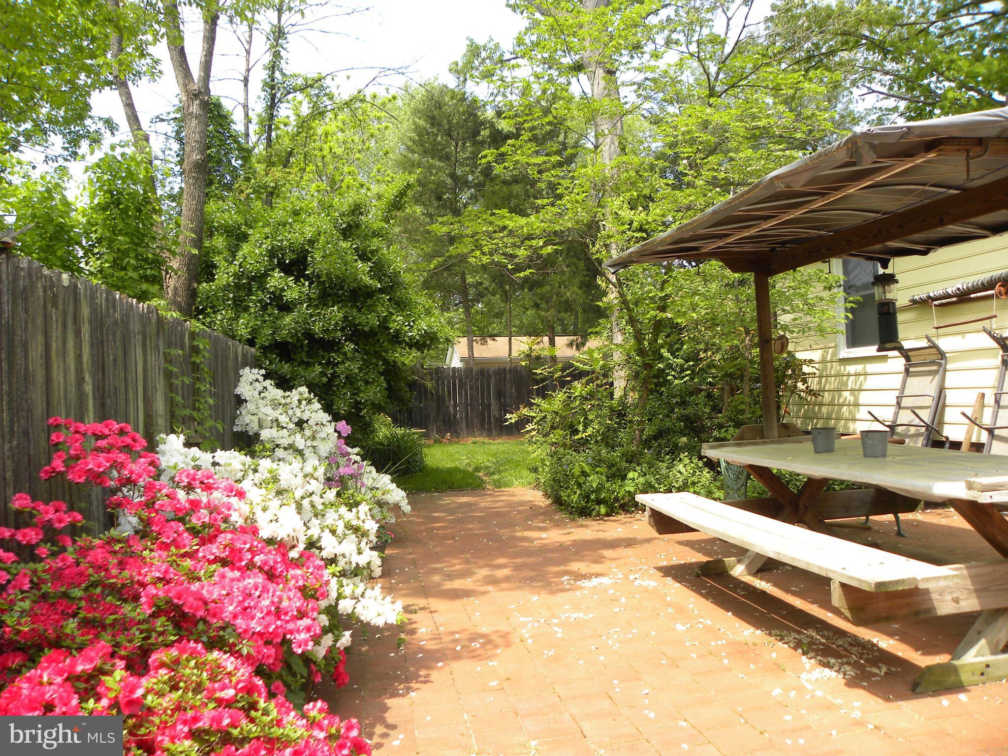 7415 Bull Run Road Manassas, VA 20111 - Photo 4 of 30 a backyard of a house with a large tree