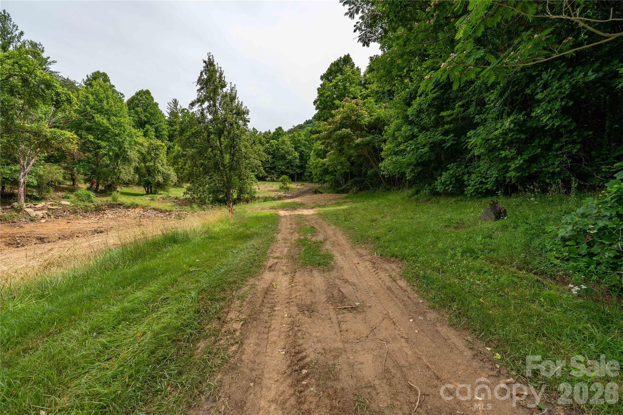 9999 Morgan Branch Road Weaverville, NC 28787 - Photo 20 of 24