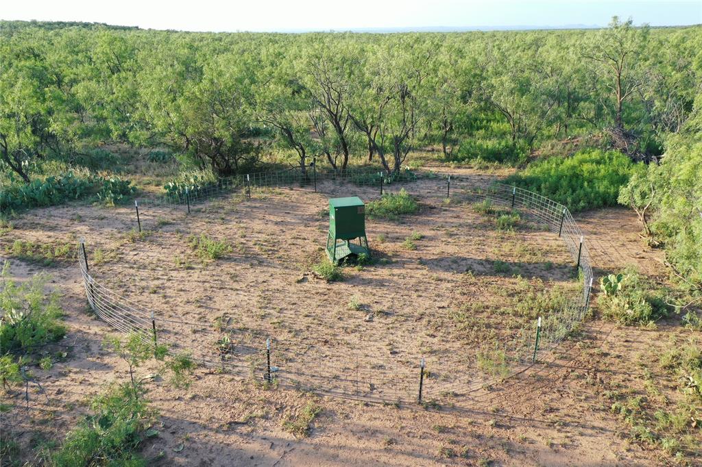 144000 Tx Highway Robert Lee, TX 76945 - Photo 13 of 37