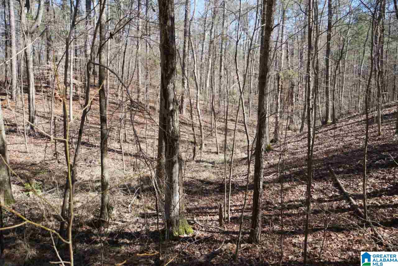 Mystic Valley View, Unit 1 Sterrett, AL 35147 - Photo 16 of 33