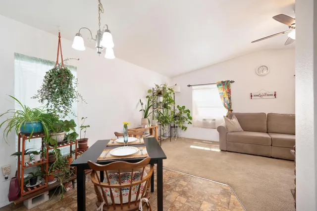 a living room with furniture a potted plant and a chandelier