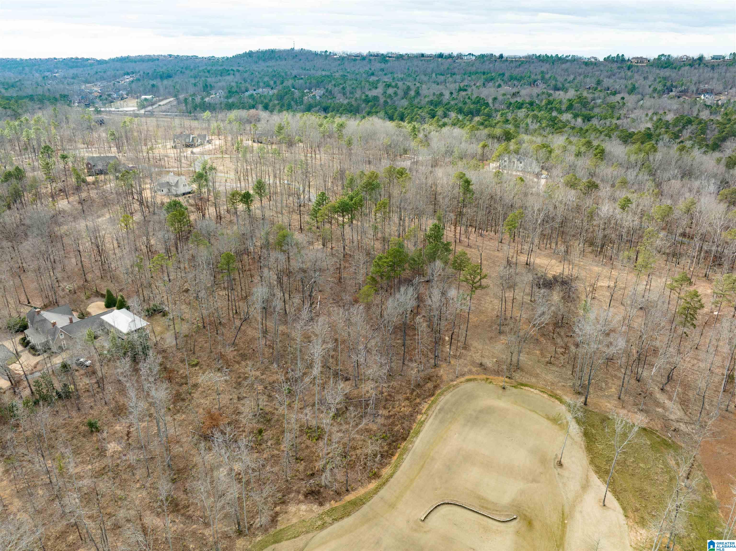 5 Prestwick Trace, Unit 50 Birmingham, AL 35242 - Photo 10 of 11