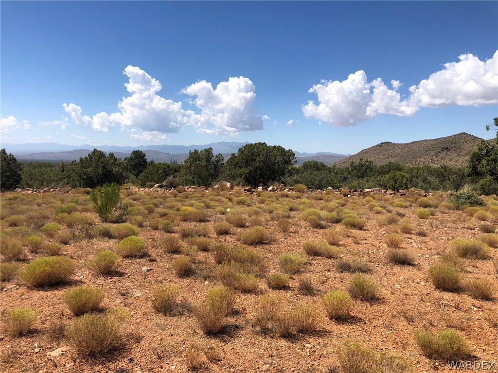 5820 Stipa Road Hackberry, AZ 86411 - Photo 1 of 20 Gallery Image 1