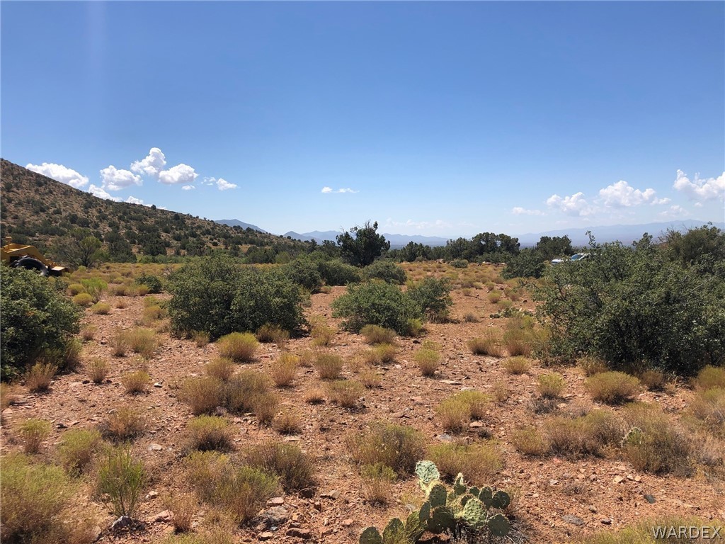 5820 Stipa Road Hackberry, AZ 86411 - Photo 16 of 20 Gallery Image 16
