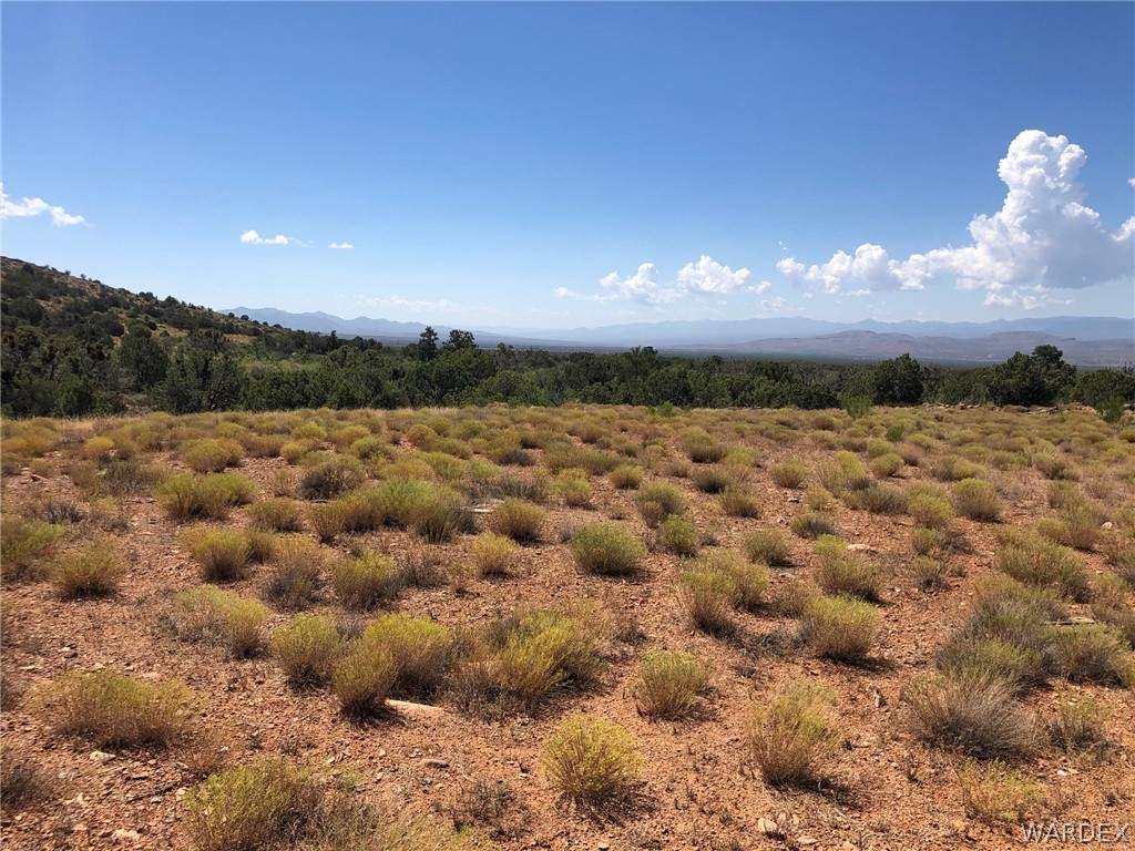 5820 Stipa Road Hackberry, AZ 86411 - Photo 17 of 20 Gallery Image 17