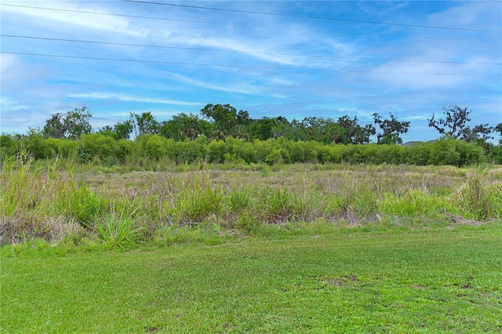 4919 Wedgeleaf Way Palmetto, FL 34221 - Photo 11 of 35 a view of a lake with houses in the back