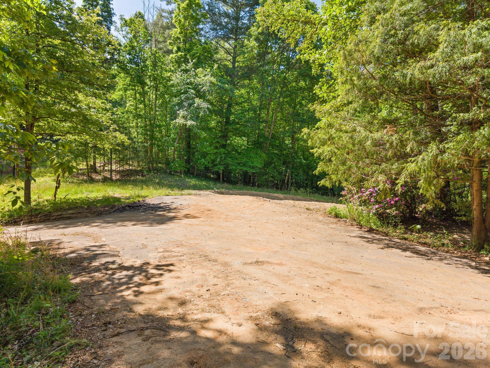 31 White Bridge Road Weaverville, NC 28787 - Photo 6 of 14