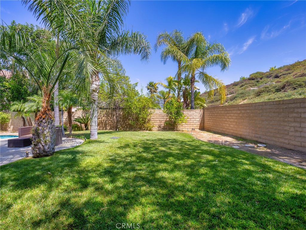 20316 Wynfreed Lane Porter Ranch, CA 91326 - Photo 37 of 51 a view of a yard with palm tree