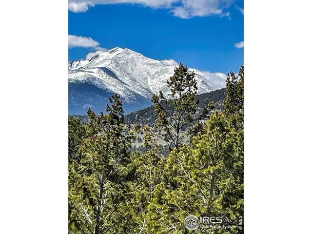 a view of a house with a tree