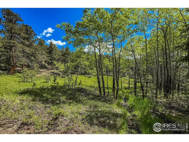 a view of a green yard