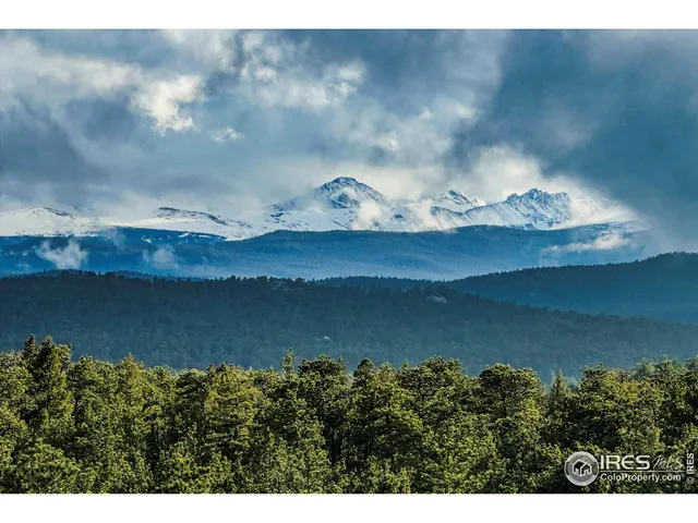 a view of a wooden floor in a room