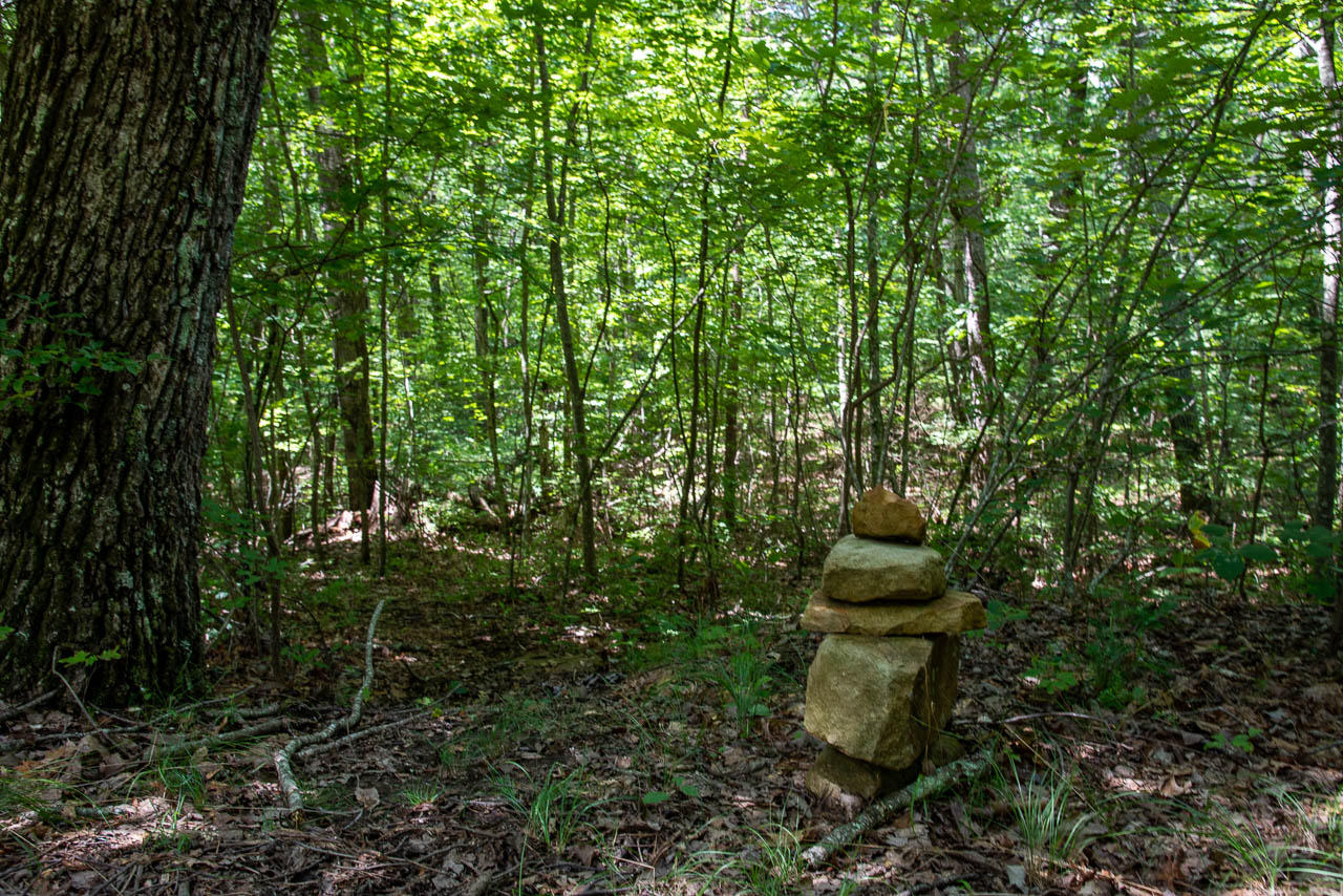 1 Eagle Bluff Drive Rising Fawn, GA 30738 - Photo 2 of 21 EB