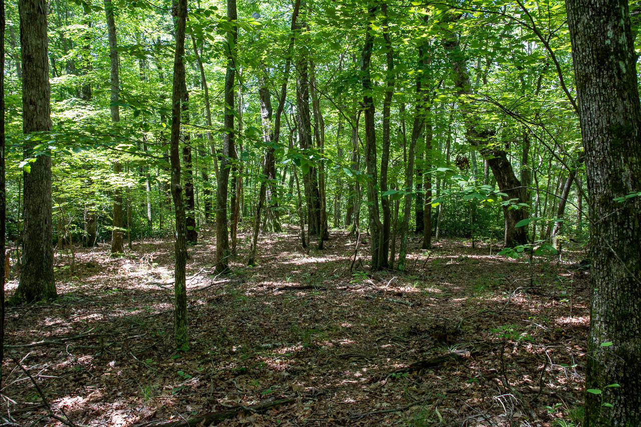 1 Eagle Bluff Drive Rising Fawn, GA 30738 - Photo 4 of 21 EB-3