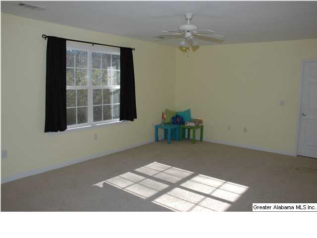 7684 Highway 11 Springville, AL 35146 - Photo 11 of 17