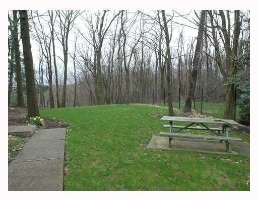 152 Riding Trail Lane Fox Chapel, PA 15215 - Photo 8 of 8 Yard/Garden.