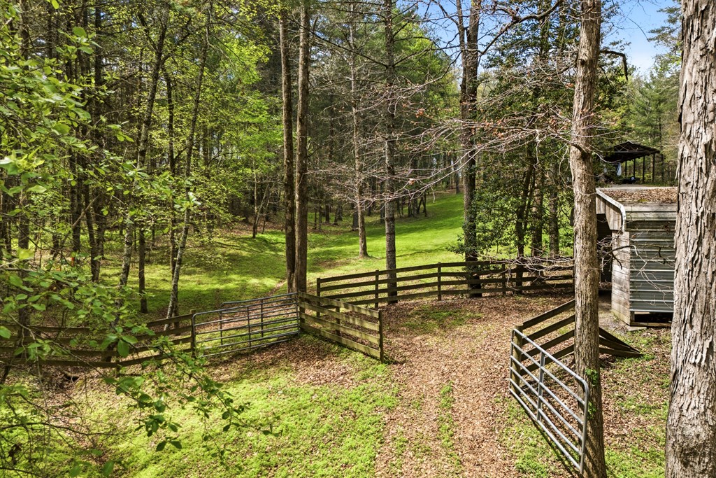 2685 Messer Road Young Harris, GA 30582 - Photo 4 of 77 Paddock Area