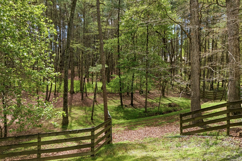 2685 Messer Road Young Harris, GA 30582 - Photo 55 of 77