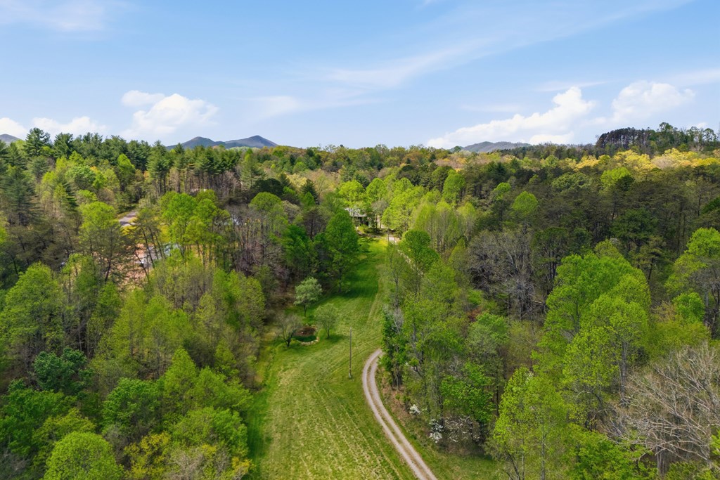 2685 Messer Road Young Harris, GA 30582 - Photo 60 of 77