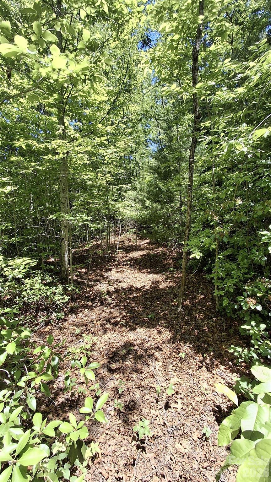 272 Kako Ridge, Unit 64 Sylva, NC 28779 - Photo 11 of 15