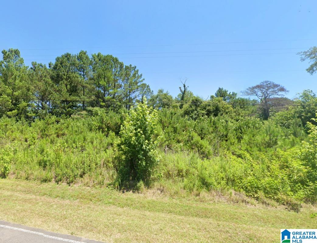 0 Redmill Saragossa Road Nauvoo, AL 35578 - Photo 8 of 13