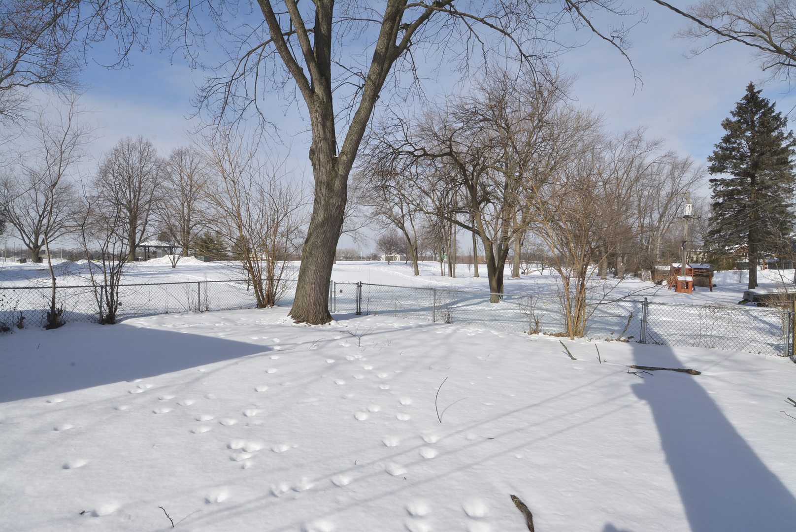 1322 West Central Road Mount Prospect, IL 60056 - Photo 22 of 28 a street view with large trees