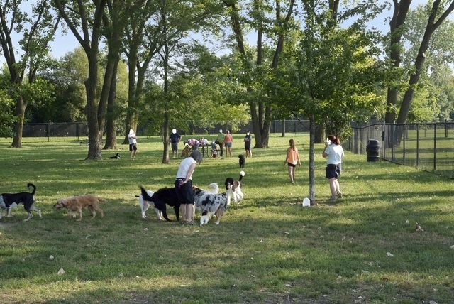 1322 West Central Road Mount Prospect, IL 60056 - Photo 25 of 28 a garden with lots of trees and trees