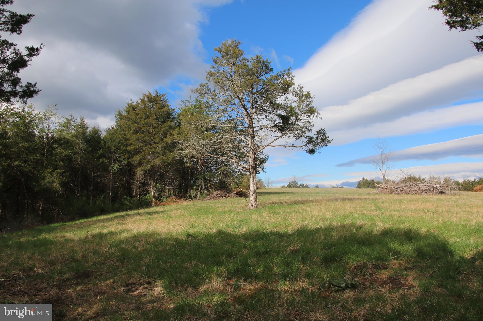 Cauthorn Mill Road Middletown, VA 22645 - Photo 1 of 18