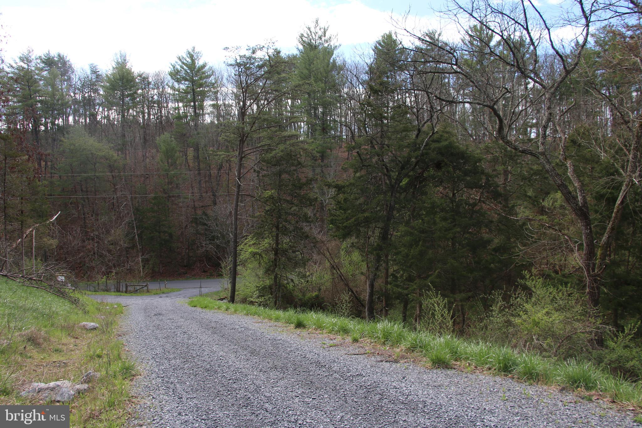Cauthorn Mill Road Middletown, VA 22645 - Photo 7 of 18