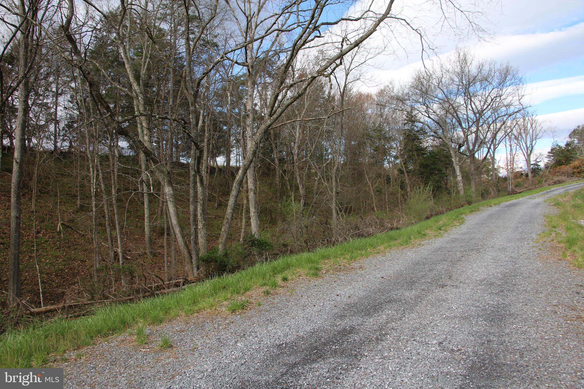 Cauthorn Mill Road Middletown, VA 22645 - Photo 8 of 18