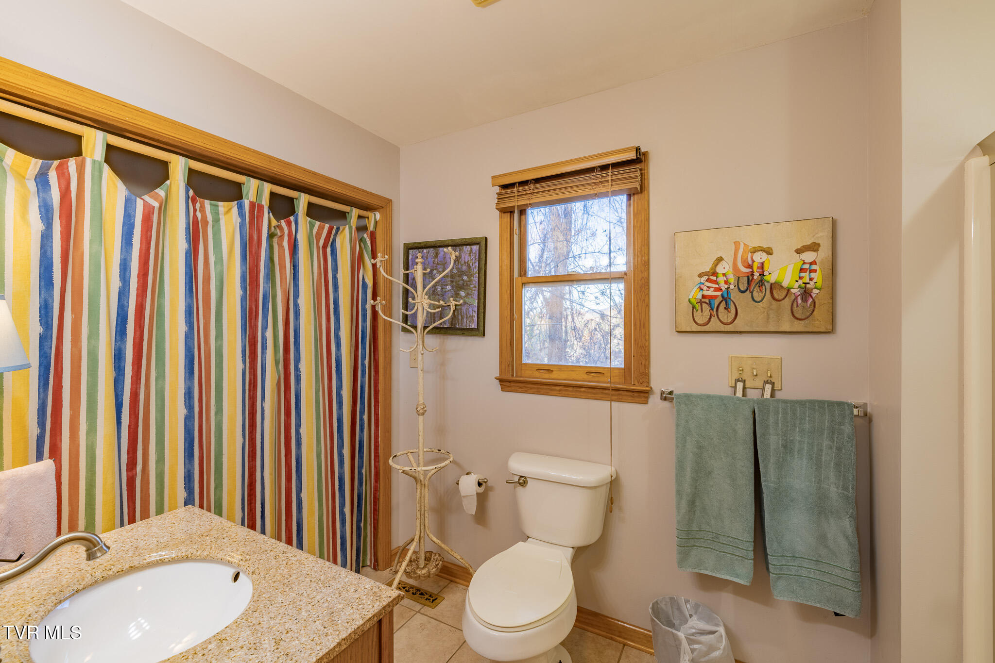 32209 Rambo Street Damascus, VA 24236 - Photo 9 of 24 1R9A0978-HDR