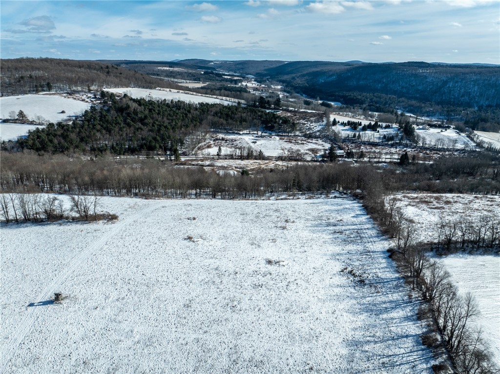 471 Frank Slawson Road Oneonta, NY 13820 - Photo 13 of 20