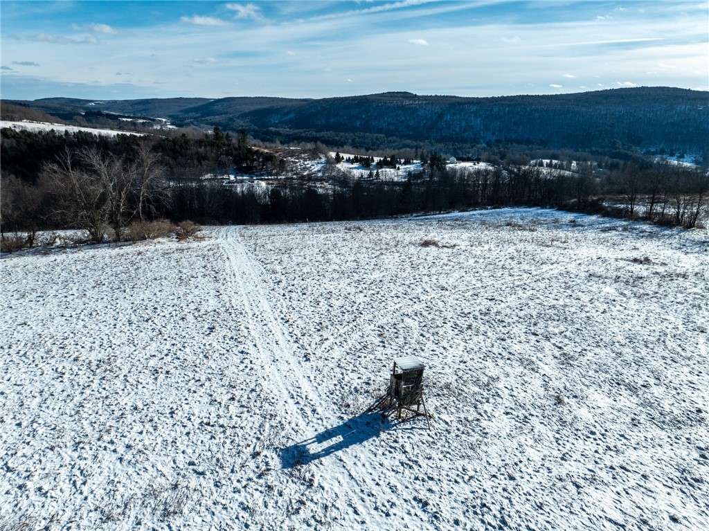 471 Frank Slawson Road Oneonta, NY 13820 - Photo 14 of 20