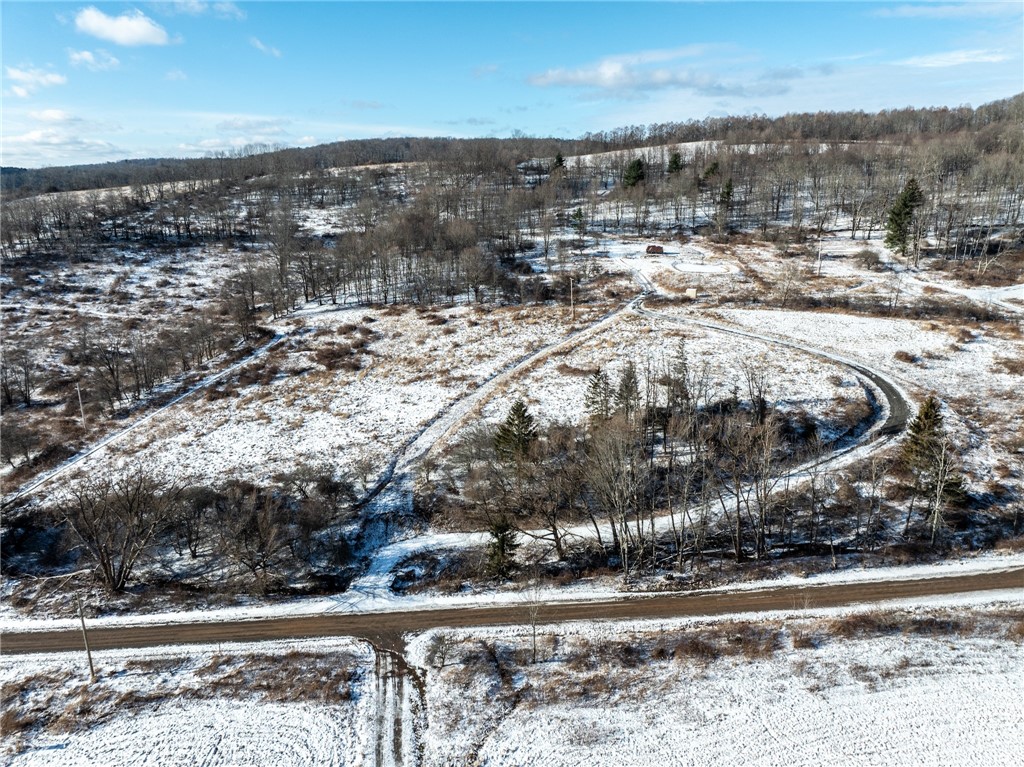 471 Frank Slawson Road Oneonta, NY 13820 - Photo 4 of 20