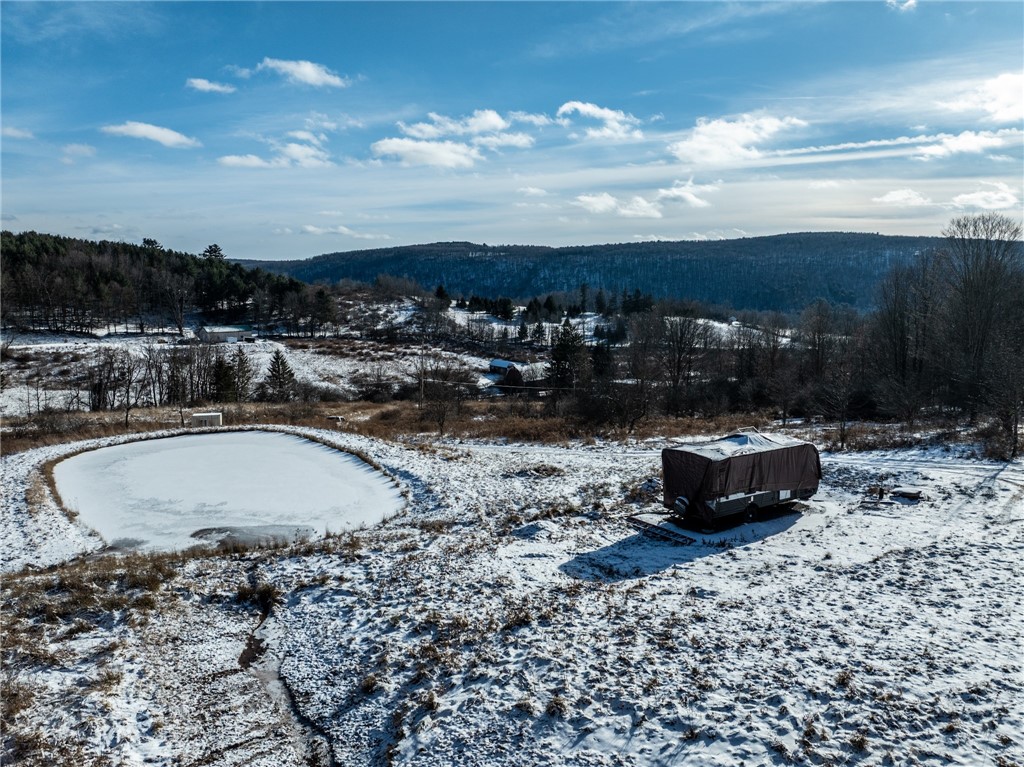 471 Frank Slawson Road Oneonta, NY 13820 - Photo 10 of 20