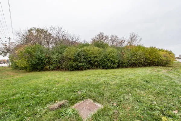 a view of a yard with a tree