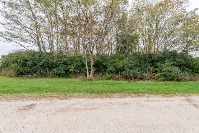 a view of a yard and large trees