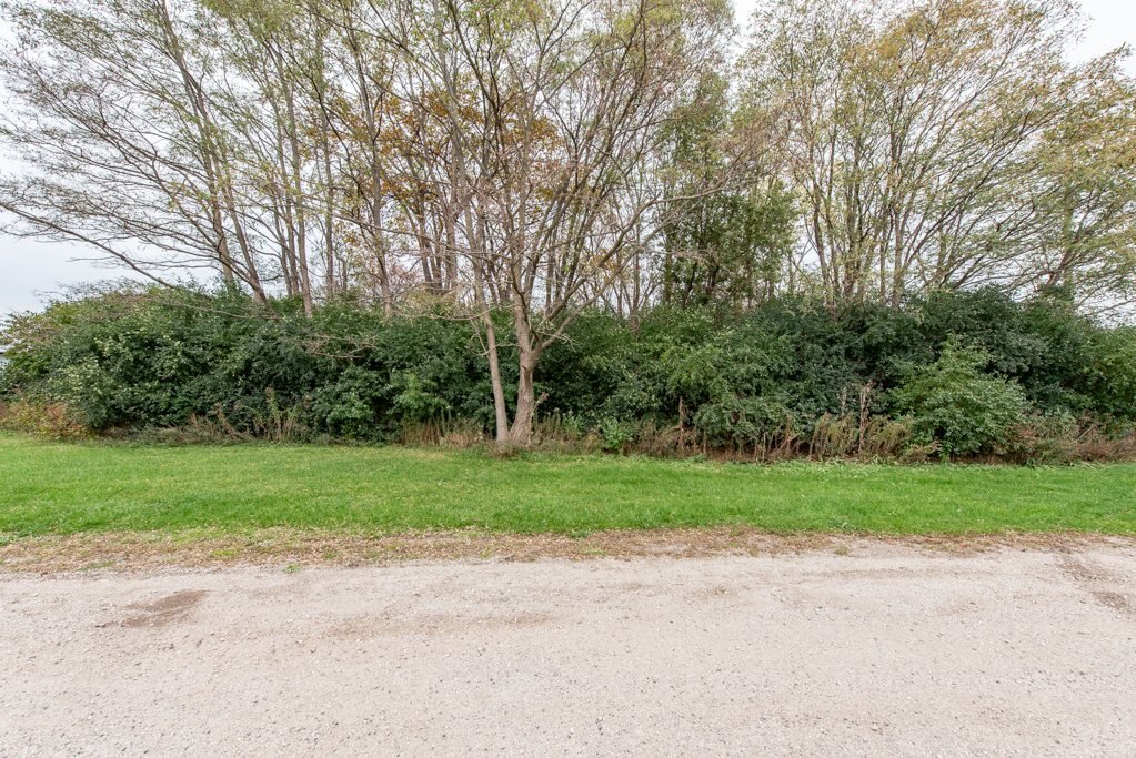 12640 West Wadsworth Road Beach Park, IL 60087 - Photo 2 of 7 a view of a yard and large trees