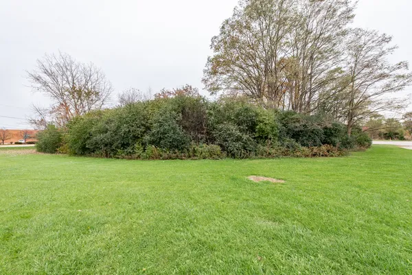 a view of field with tall trees