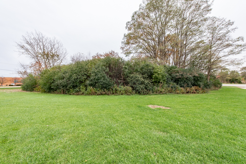 12640 West Wadsworth Road Beach Park, IL 60087 - Photo 3 of 7 a view of field with tall trees